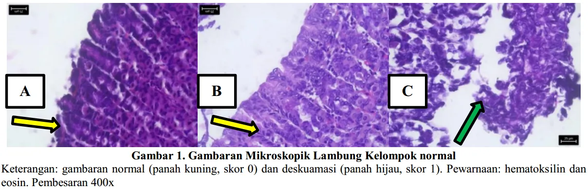 image108.png