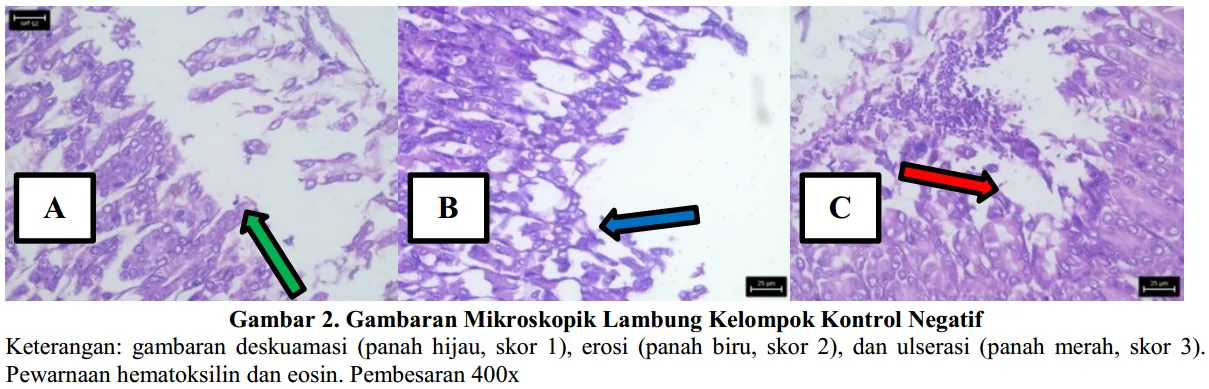 image169.png