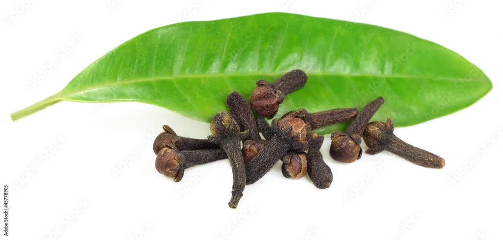 CENGKEH