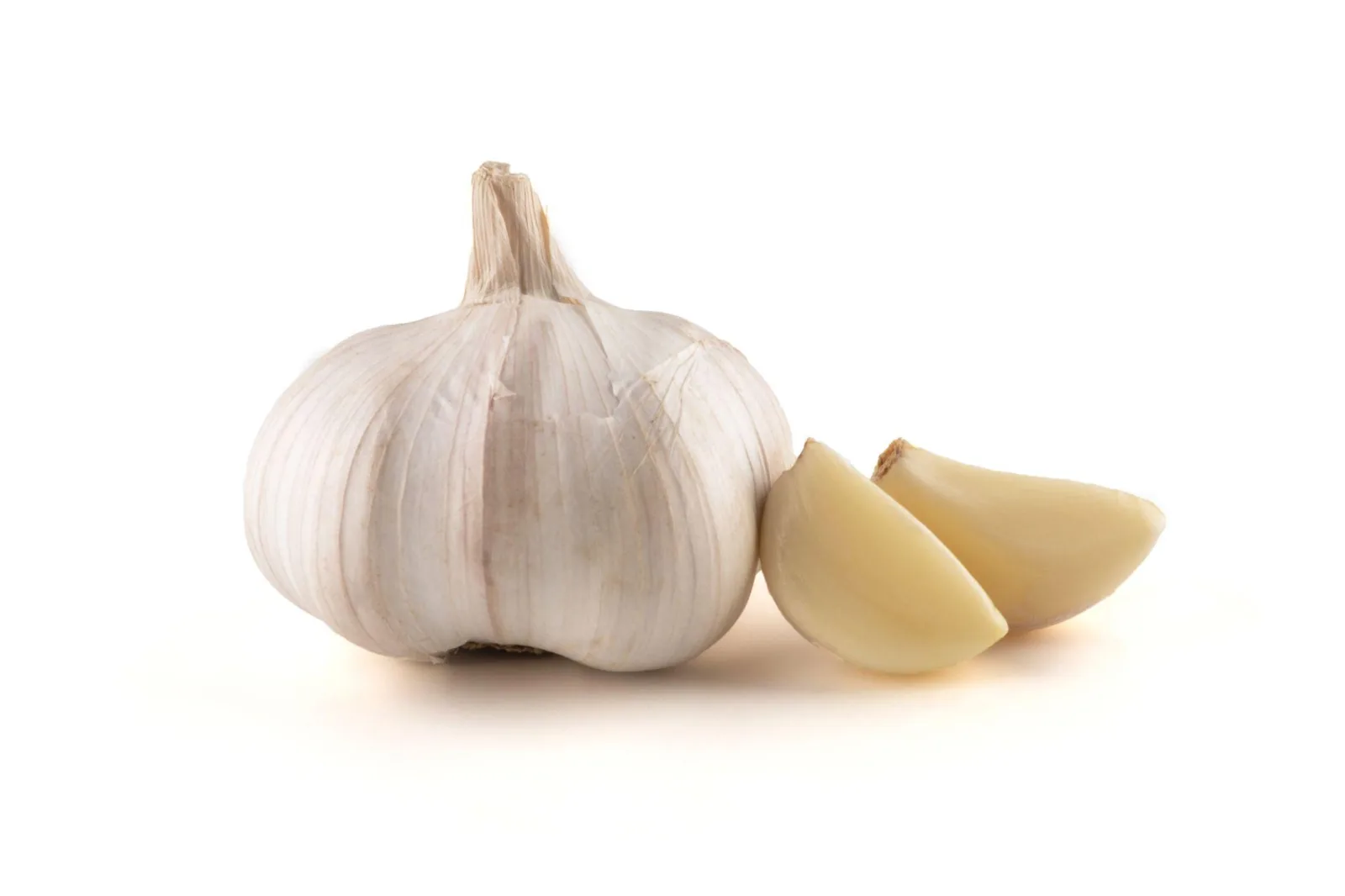 GARLIC